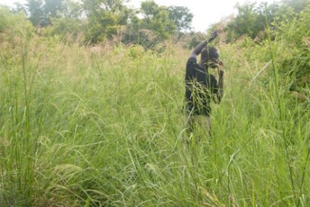 Burkina 1