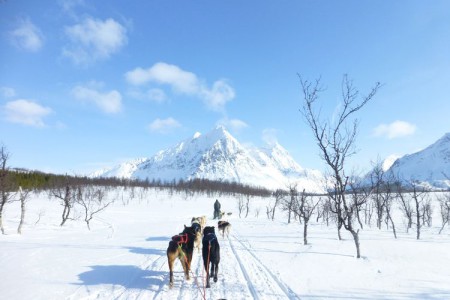 657124-norvege_mramadier2