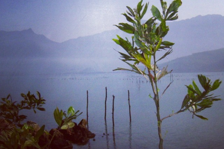 662213-capture-d-ecran-2014-03-04-a-105156